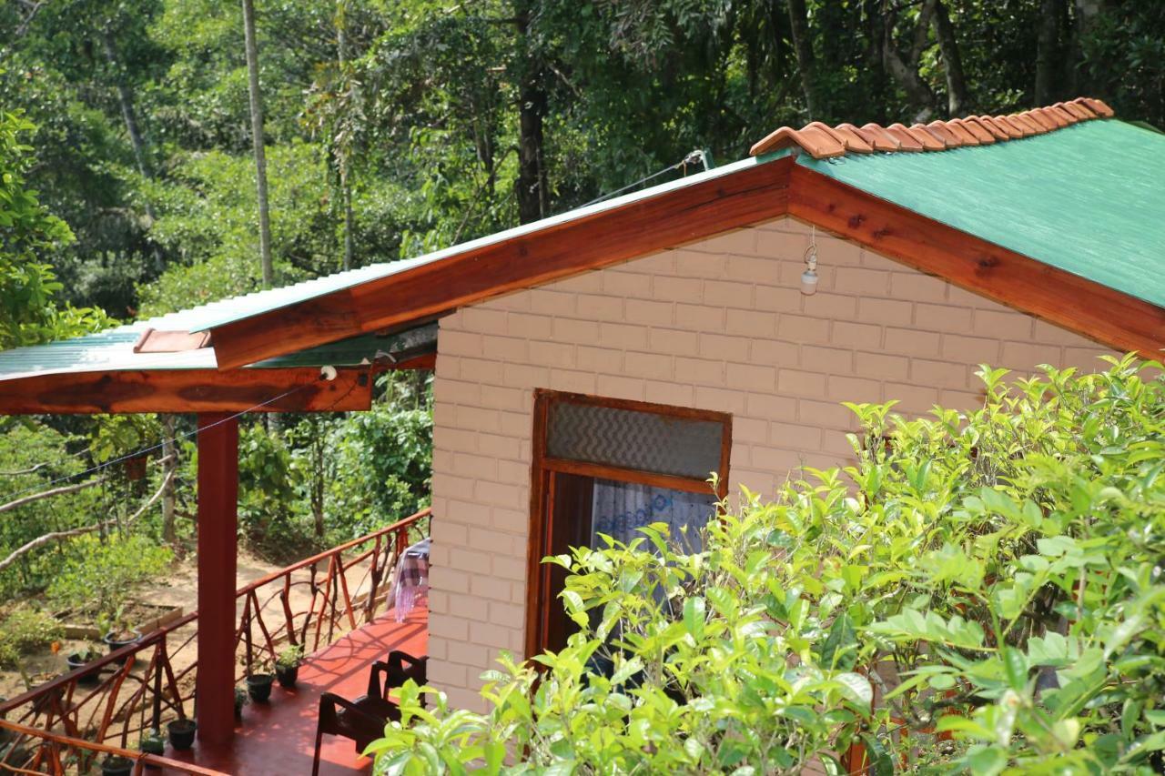 Hidden Slope Cottage 엘라 외부 사진